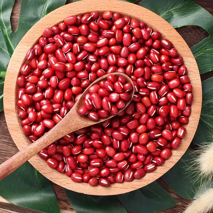 红小豆 农家自产红豆 五谷杂粮精新挑选颗粒饱满 煮粥煲汤 易煮烂