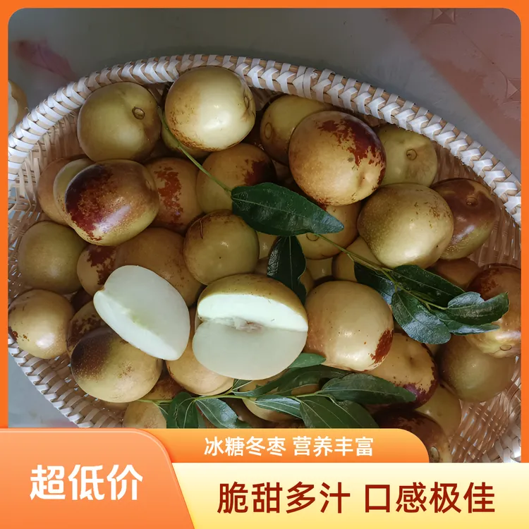 冰糖冬枣脆甜速度多汁新鲜大枣农副产品儿童孕妇水果