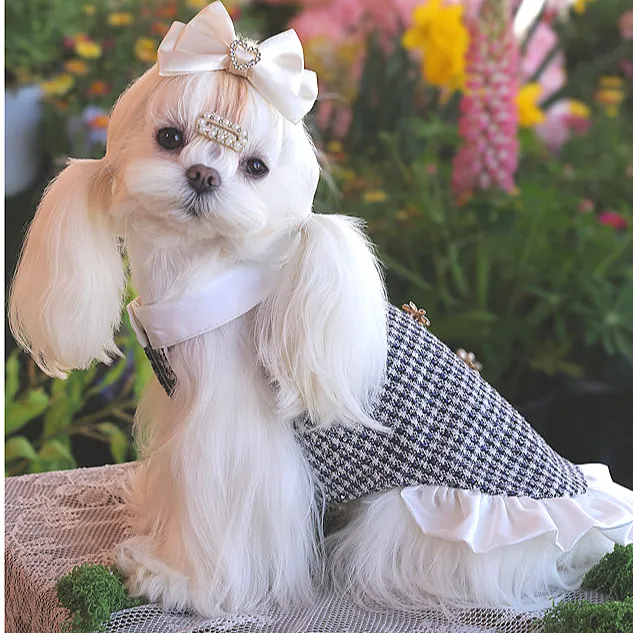 GemPaws原创高定重工宠物衣服小香风狗衣服挂脖小型犬约克夏衣服