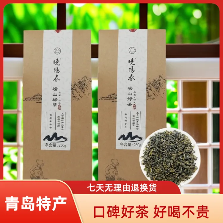 晓阳春崂山绿茶简装2025新茶叶正宗山东青岛特产500克