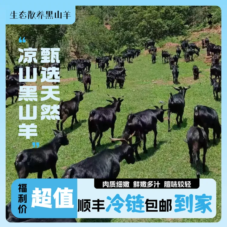 布拖县高山放养黑山羊无饲料天然牧草新鲜羊肉 现宰现发3斤/5斤