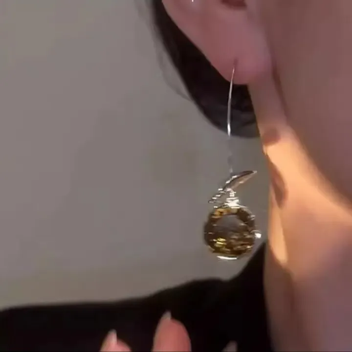 合金耳饰 气质长款流苏耳坠轻奢高级百搭耳环小众设计感耳饰