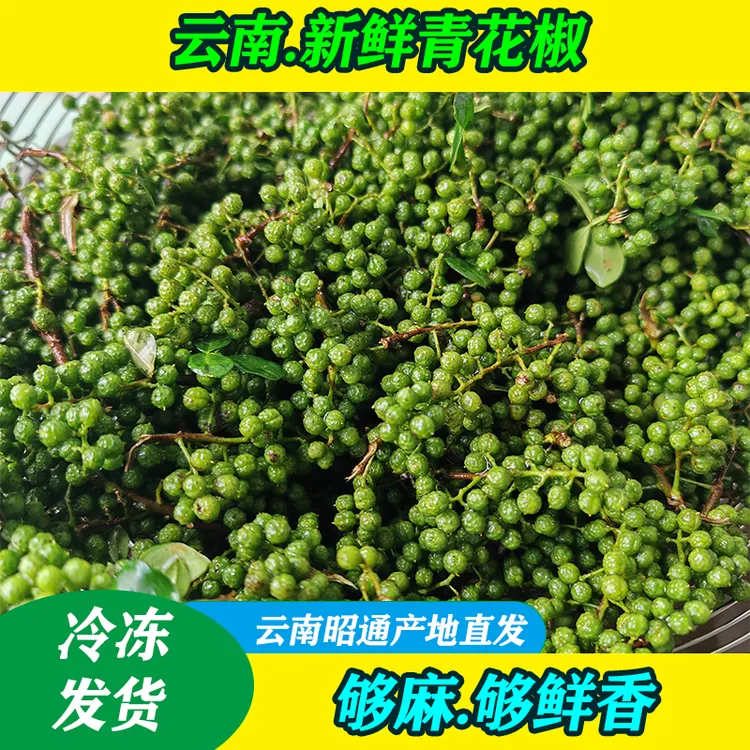 云南鲁甸九叶青保鲜花椒新鲜麻香调味特产藤椒昭通青花椒