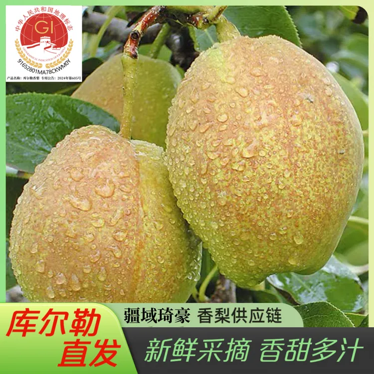 【京东库尔勒直发】新疆库尔勒香梨新鲜应季水果库尔勒香梨10斤带箱