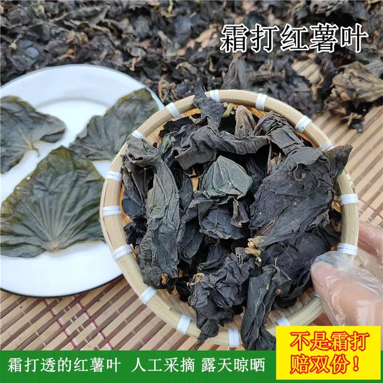霜打红薯叶新货农家采摘河南特产自然霜打红薯叶地瓜叶干菜红薯叶