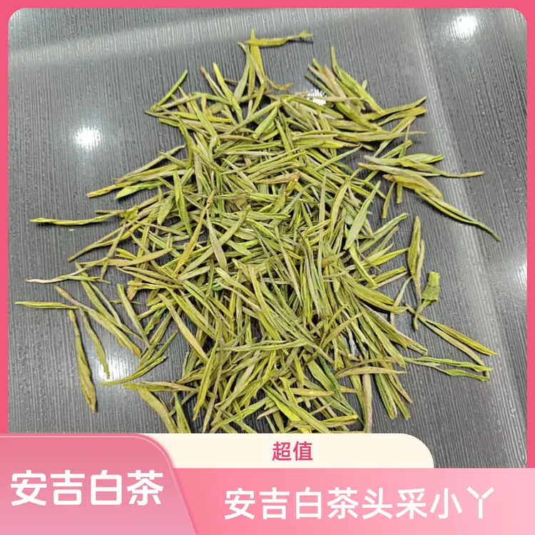 安吉白茶明前兰花香叶白脉绿口鲜甜度高
