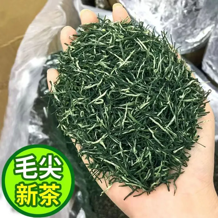 2025直条毛尖绿茶1# 毛尖中段茶叶 贵州湄潭原产地高山绿茶