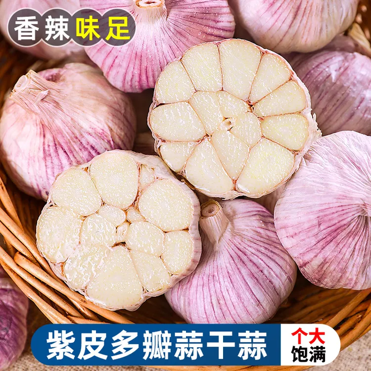 【辛辣味浓】紫皮多瓣蒜干蒜1-9斤老蒜饱满大蒜蔬菜非独头蒜批发