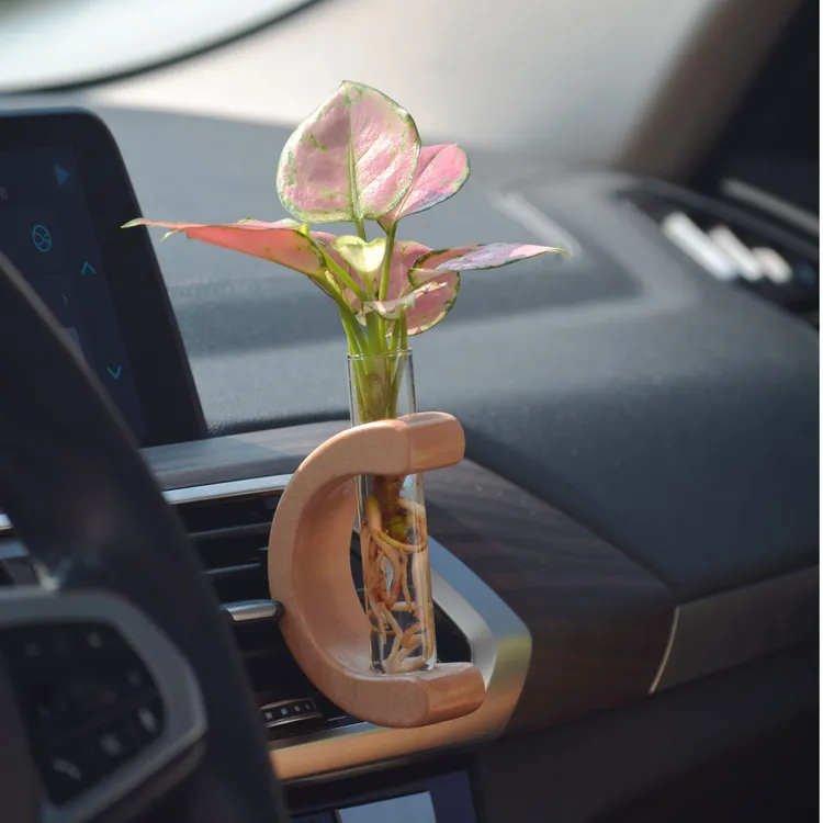 【C型】车载真绿植空调出风口水培摆件饰品简约汽车内饰净化空气