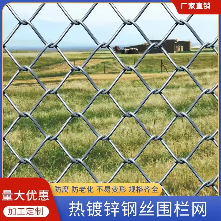 热镀锌铁丝网围栏网不锈铁丝网格家用防护栏网勾花网户外栅栏养殖