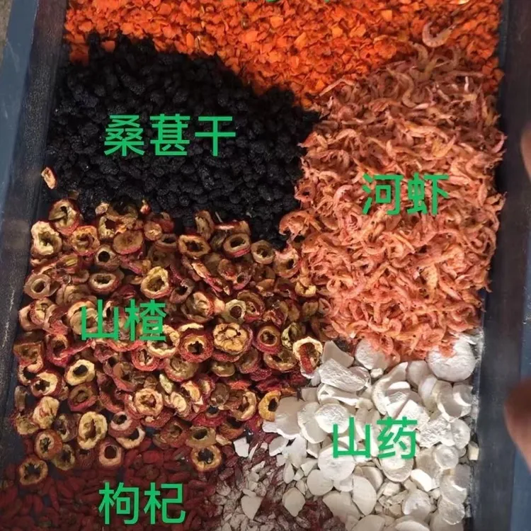 黑头奇鹛烧香专用日常营养饲料