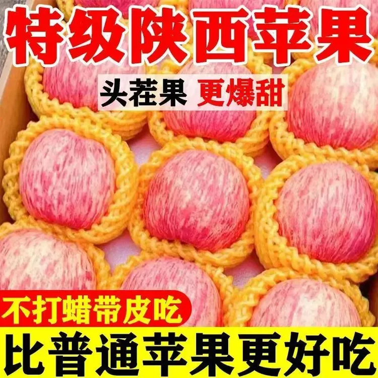洛川红富士苹果正宗陕西当季现摘现发脆甜多汁新鲜孕妇水果冰糖心