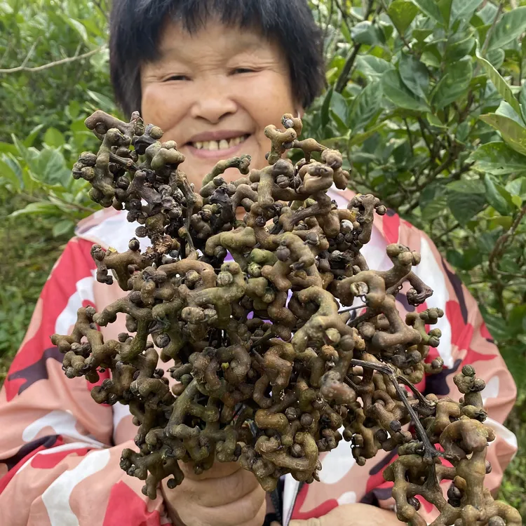 湖北长阳新鲜拐枣鸡爪梨万寿果