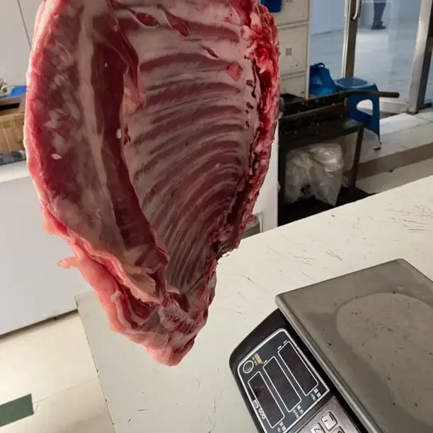 带皮整扇羊肋排多肉可红烧清炖烤制的新鲜羊排