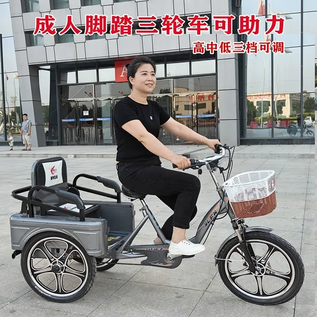 老年脚蹬助力三轮车成人脚踏电动自行车老人代步接送孩子客货二用