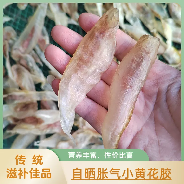 自晒胀气小黄花胶，干净无油，足干，胶质超粘糯，适合炖牛奶、煲糖水
