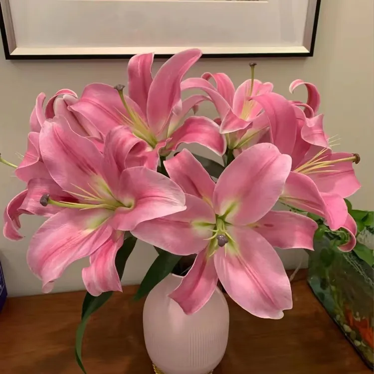 【普拉芬多香水百合花】昆明直发修剪养护干净插花粉色浪漫顺丰