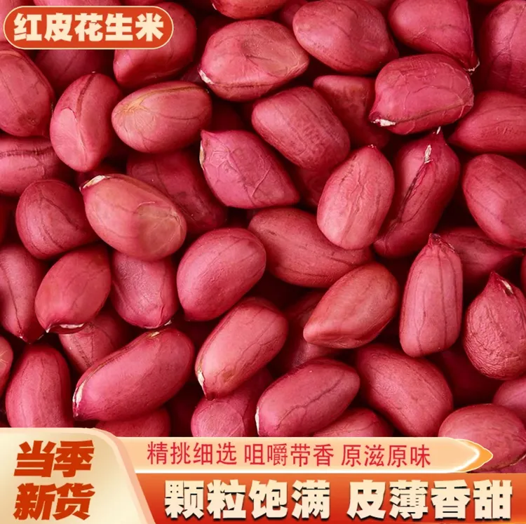 当季新四粒红花生新鲜颗粒红皮花生米晒干脱壳食用农产品甘甜美味