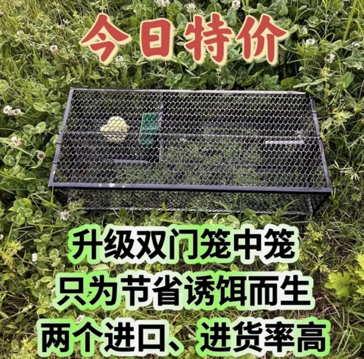 新品加厚双门笼中笼养殖笼户外笼铁丝笼宠物笼装蛇笼箱子仓鼠笼