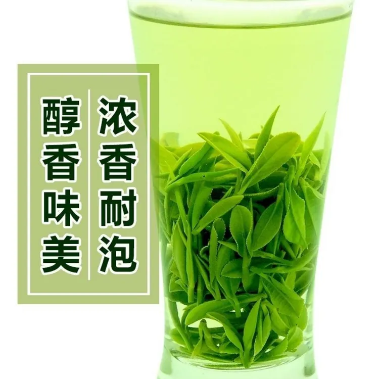 国乐信阳毛尖2025新茶谷雨前高山芽叶浓郁口粮茶上新浓香醇香罐装