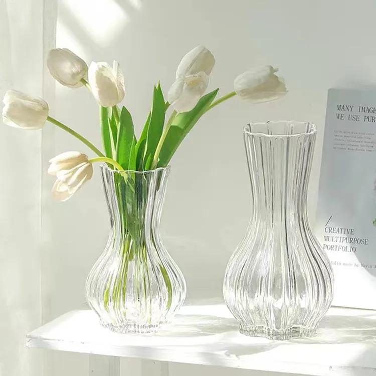 【高级感两件套】简约玻璃花瓶轻奢颜控插花大号花瓶水养装饰
