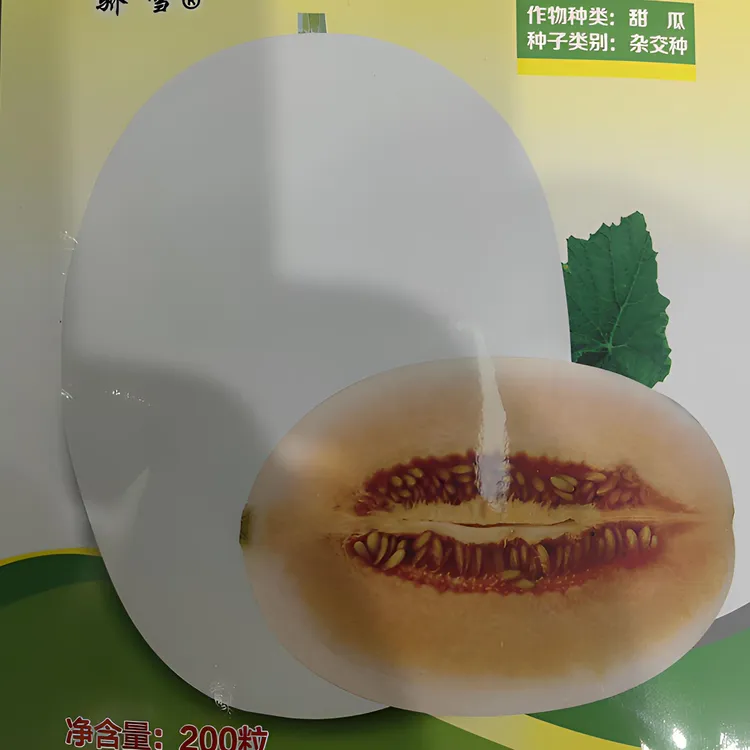 【单县进才专属】无名脆梨高糖甜瓜种子抗病果型好看（每袋200粒）