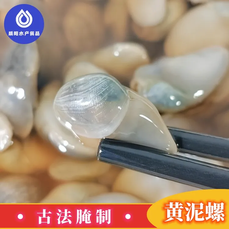 海鲜醉泥螺 特大黄泥螺220g鲜活腌制新鲜潮汕风味即食 下饭脆嫩