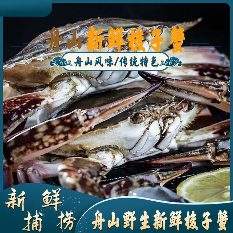 【鲜活发货】舟山精品梭子蟹中大公蟹月岙蟹包鲜不包活3-5/两 4斤装