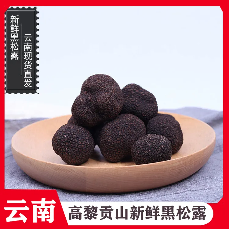 【新鲜黑松露】云南怒江高黎贡山货500g-1000g鲜货食用(白茶色心)