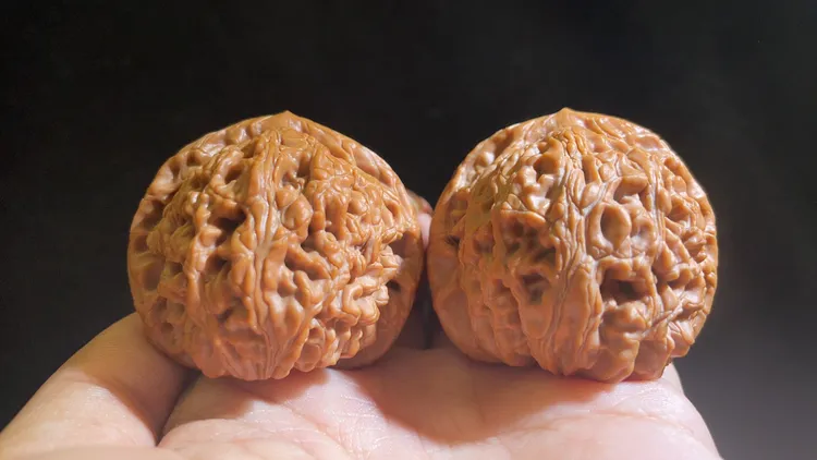 文玩核桃精品水龙纹