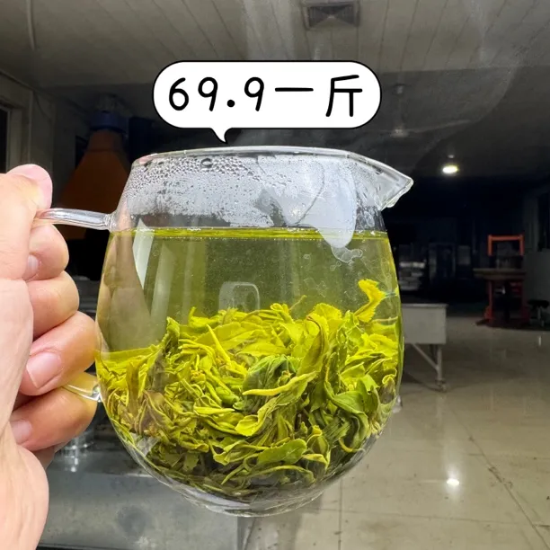 2025年正宗日照绿茶露天新春茶浓香型板栗香70