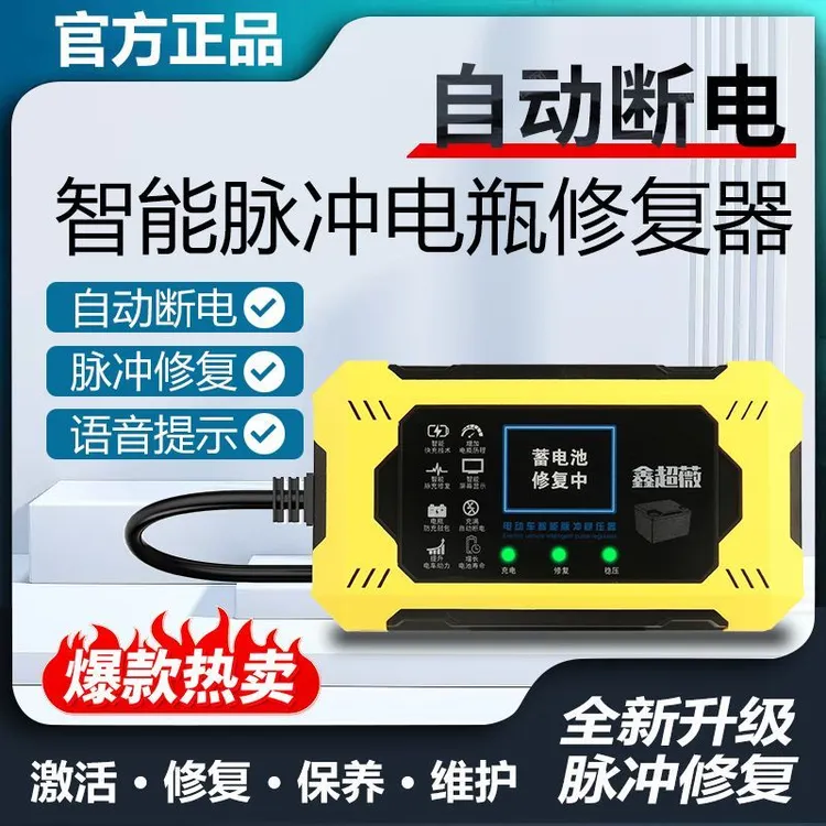 德国先进科技多功能一键激活电瓶智能脉冲器稳压器充电器