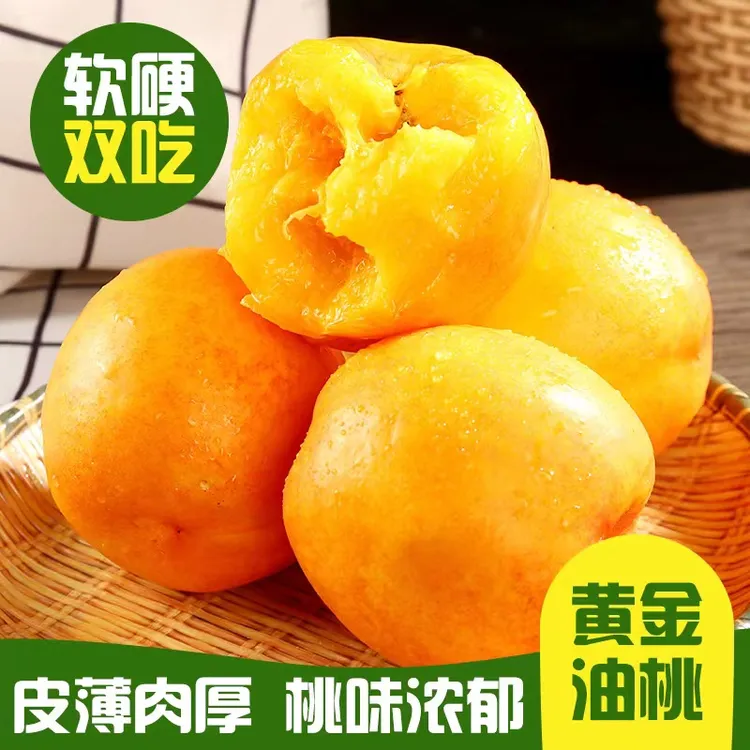 山东蒙阴黄金油桃3/4.5斤清甜爽口当季新鲜采摘水果整箱包邮