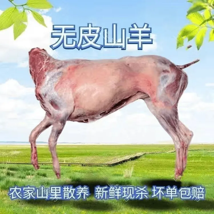 A整只无皮山羊12斤-28斤羊烧烤聚餐农家食用排酸新鲜速冻农户散养