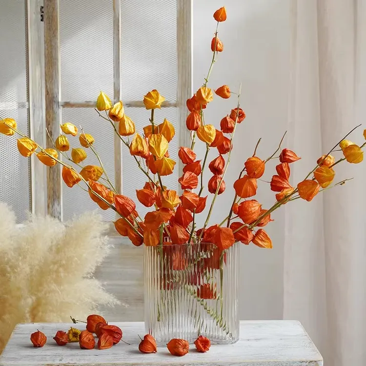 进口酸浆果灯笼红果干花花束天然风干客厅高级感真花陶瓷插花花瓶