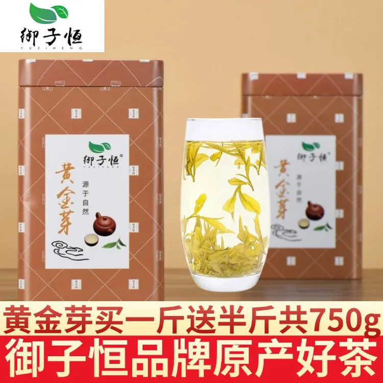 【一斤半】2025新茶雨前特级黄金芽高山绿茶浓香御子恒茶叶共750g