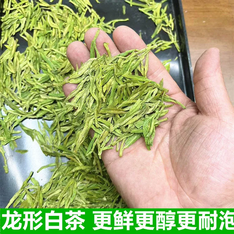御子恒2025新茶雨前特级龙形白茶龙井兰花香鲜爽回甘 叶白脉绿
