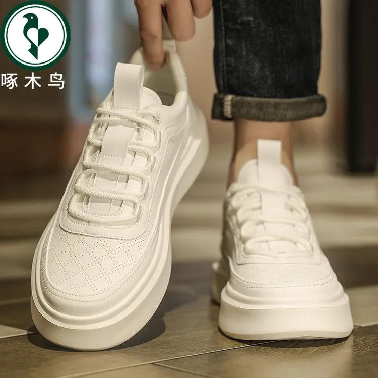 【正品】啄木鸟小白男鞋2025白色秋冬透气板鞋男士防滑百搭运动潮鞋
