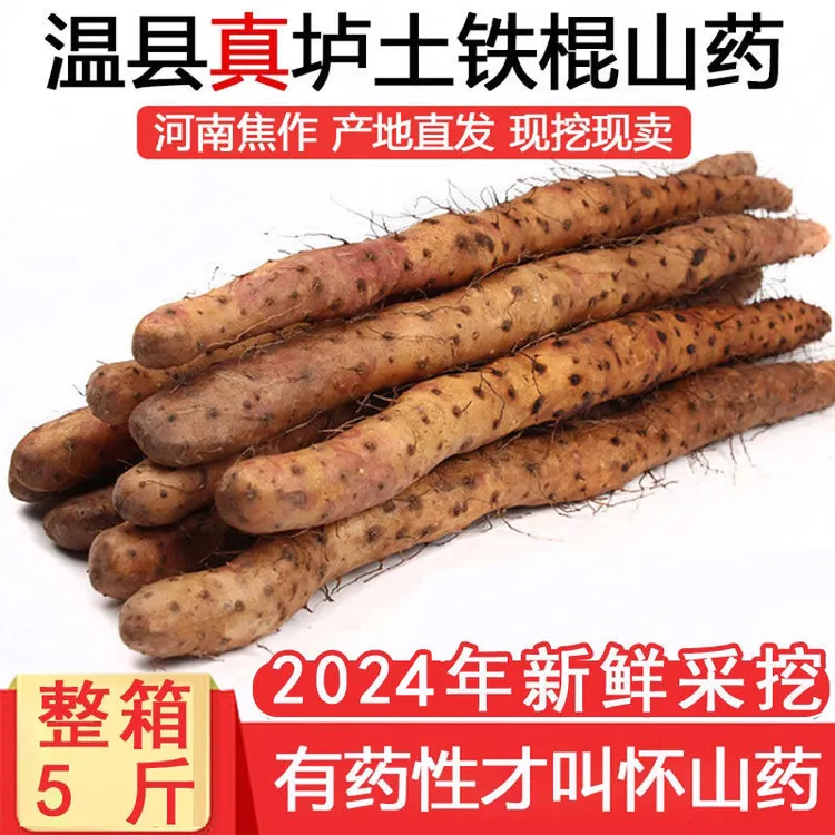 2024年新鲜现挖垆土铁棍山药河南焦作温县正宗铁杆怀山药非淮山药