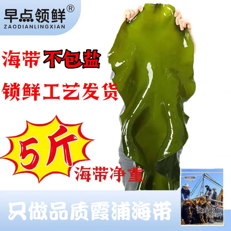 【2024新鲜头水大海带】净重5斤霞浦海带 锁鲜不带盐 凉拌脆爽厚实