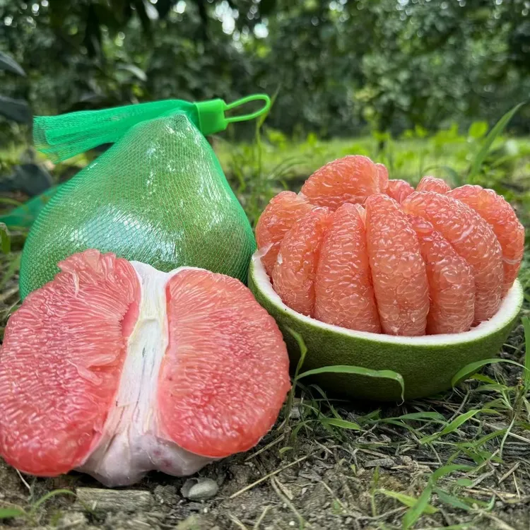 西双版纳红宝石柚子爆甜多汁皮薄肉厚