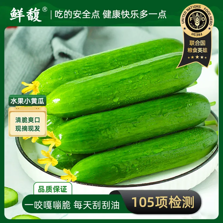 【鲜馥】山东水果黄瓜3斤12-15根/4.5斤18-22根