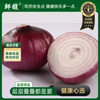 鲜馥紫皮洋葱新鲜蔬菜3斤/5斤洋葱圆葱元葱洋葱头