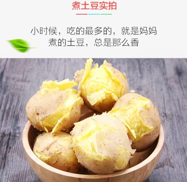 甘肃定西旱沙地黄皮黄心土豆粉面洋芋马铃薯