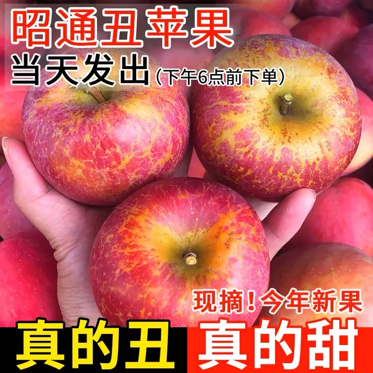 红露正宗云南昭通冰糖心丑苹果新鲜大凉山上脆甜水果产地直发整箱