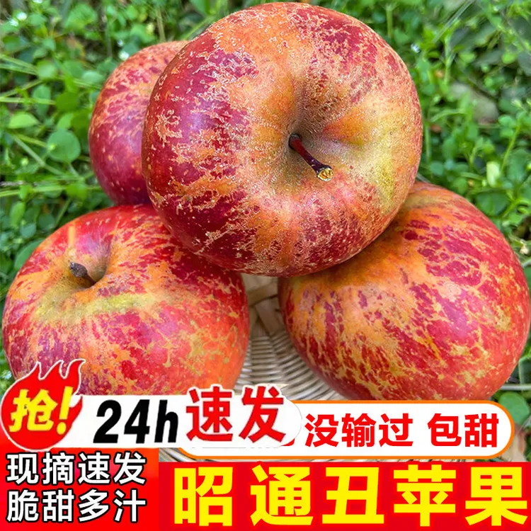 云南正宗应季红苹果昭通冰糖心丑苹果新鲜大凉山脆甜水果产地直发
