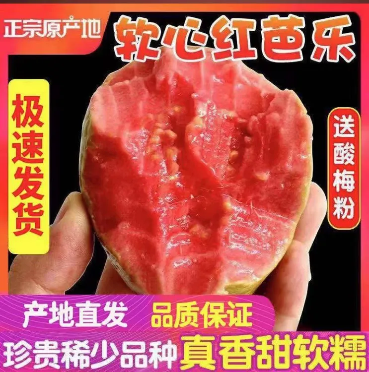 【顺丰包邮】 广西软心红心老树番石榴新鲜红心软芭乐净重1/3/5斤