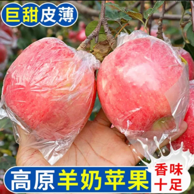 【口感香甜】正宗山西万荣羊奶苹果新鲜水果香红富士自然熟纸袋