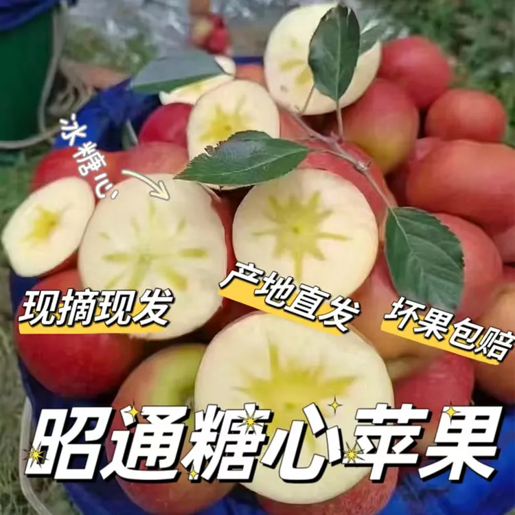 云南昭通新鲜水果红富士丑苹果彩箱装精品批发礼盒装等多种规格