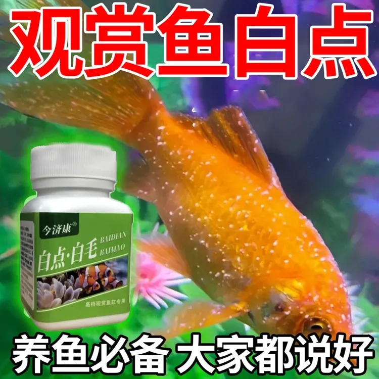 【热销中】水霉白毛白点净观赏鱼专用白点水霉蒙眼烂尾烂鳃不伤鱼儿